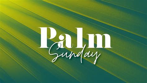 Palm Sunday Church Media Drop