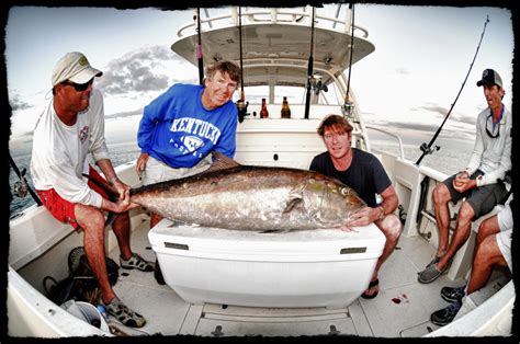 Greater Amberjack Florida Sportsman