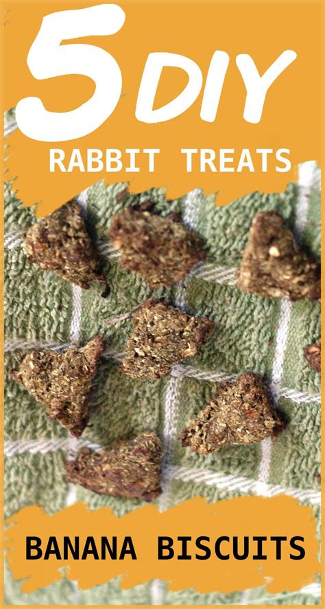 5 Homemade Rabbit Treats To Make For Your Bunny Homemade Rabbit