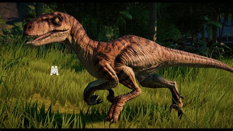Velociraptor Skin Tweaks Jp And Tlw At Jurassic World Evolution Nexus
