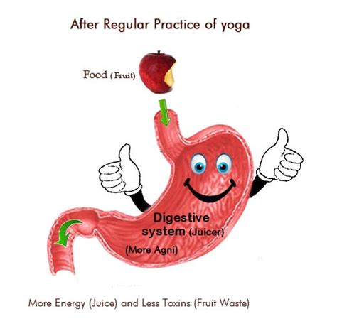 It's easy to overindulge, and feel bloated and puffy after a big meal. Digestive System For Kids - ClipArt Best