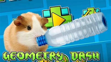 El Hamster Bailando Con Una Botella Pero Con 5 Canciones De Geometry