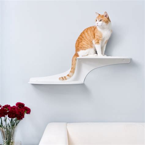My initial gut reaction is, of course, yes! The Refined Feline 10" Clouds Wall Mounted Cat Perch ...