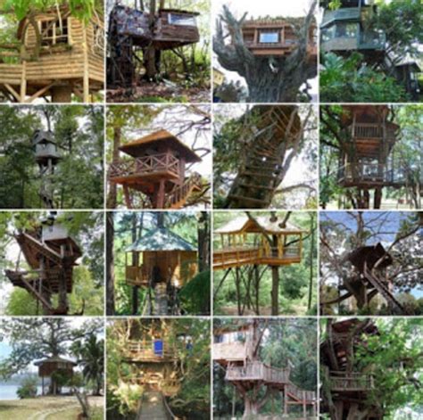 How To Build A Tree House Treehouse Designs Guide Hubpages