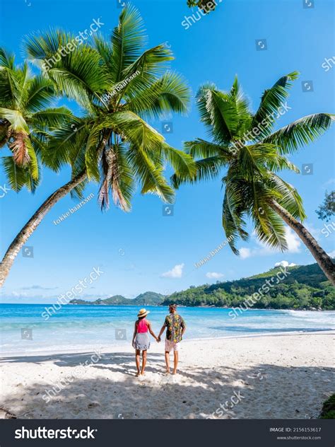 Mahe Seychelles Tropical Beach Palm Trees Stock Photo Shutterstock