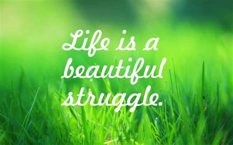 Life Is A Beautiful Struggle Life Quote Decalwall By Decaly Quote