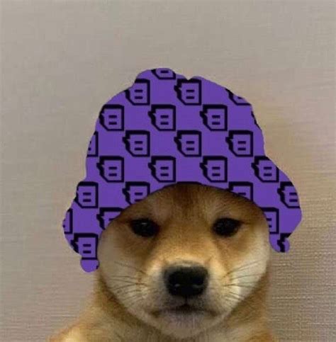 1080x1080 Gamerpic Doge In A Hat