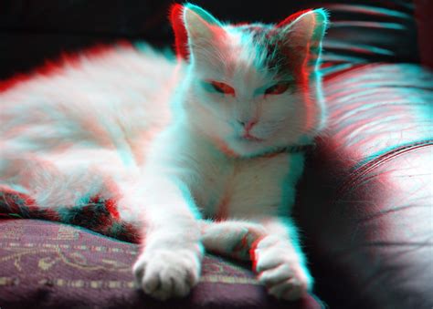 Patch Our Cat 3d Anaglyph Stereo Redcyan Wim Hoppenbrouwers Flickr