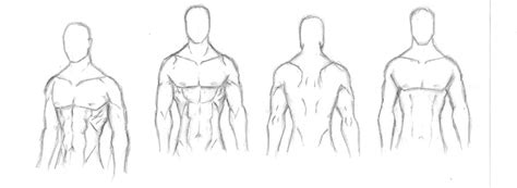 Drawing illustration animation back muscles art reference animation. Muscle reference by Arekkusu-Maafi on DeviantArt