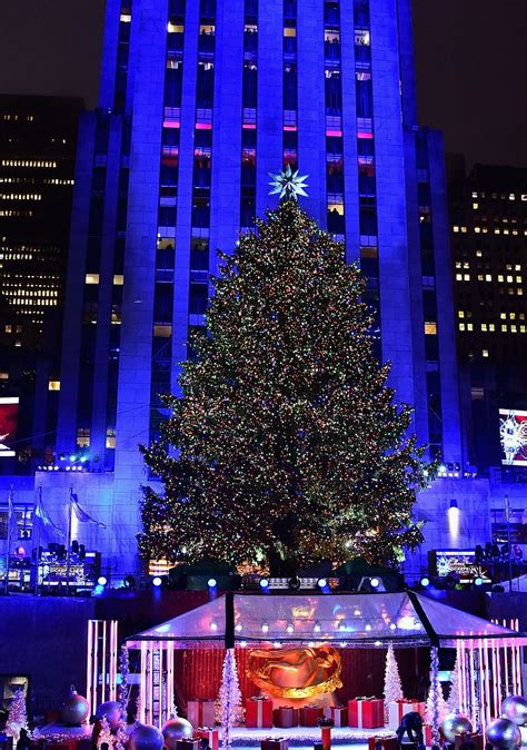Last Years Rockefeller Center Tree Lives On As Upstate Home