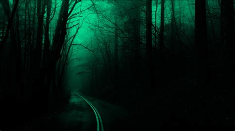 Forest Trees Road Dark Nature Spooky Wallpapers Hd