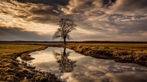Wallpaper Outdoors Nature Landscape Trees Reflection Sky Clouds