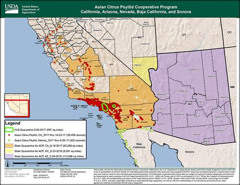 Citrus In Peril Across Southern California How To Identify Hlb