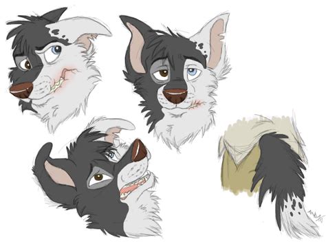 Scarred Character As Border Collie By Raiynclowd On Deviantart