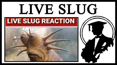 Live Slug Reaction Meme Template