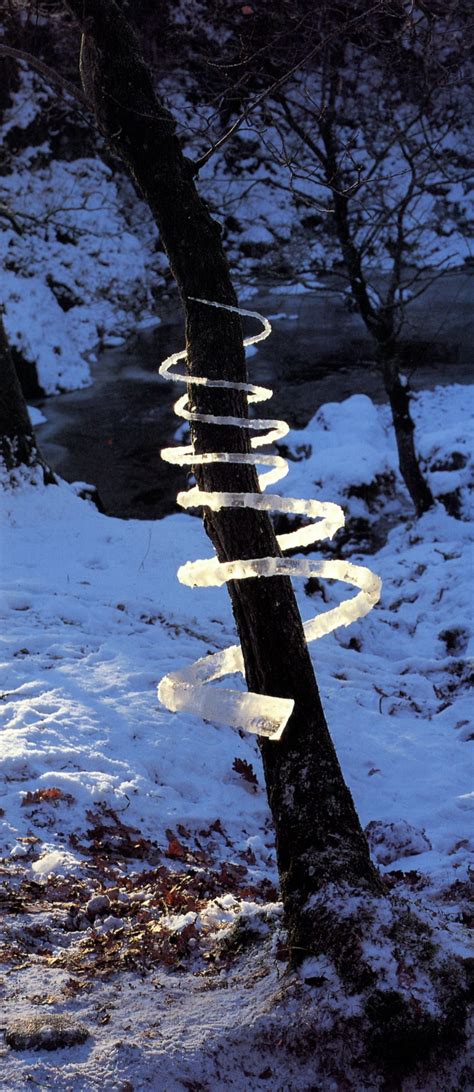 Andy Goldsworthy The Great Priscilla Woolworths Blog Andy