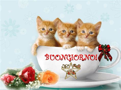 Buongiorno pictures to create buongiorno ecards, custom profiles, blogs, wall posts, and buongiorno scrapbooks, page 1 of 21. Buongiorno gif 21 » GIF Images Download