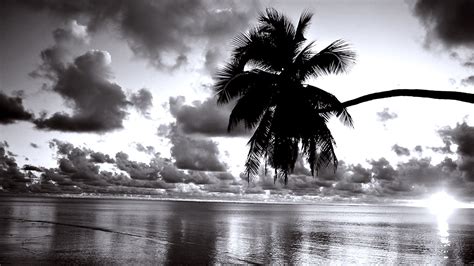 black and white beach wallpapers top free black and white beach backgrounds wallpaperaccess