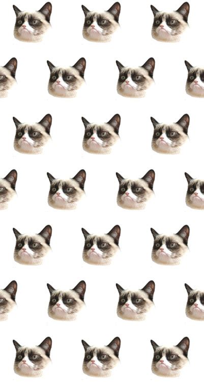 71 adorable cat wallpapers images in full hd, 2k and 4k sizes. grumpy cat wallpaper | Tumblr