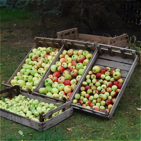 Wooden Apple Crates For Sale In Uk 58 Used Wooden Apple Crates