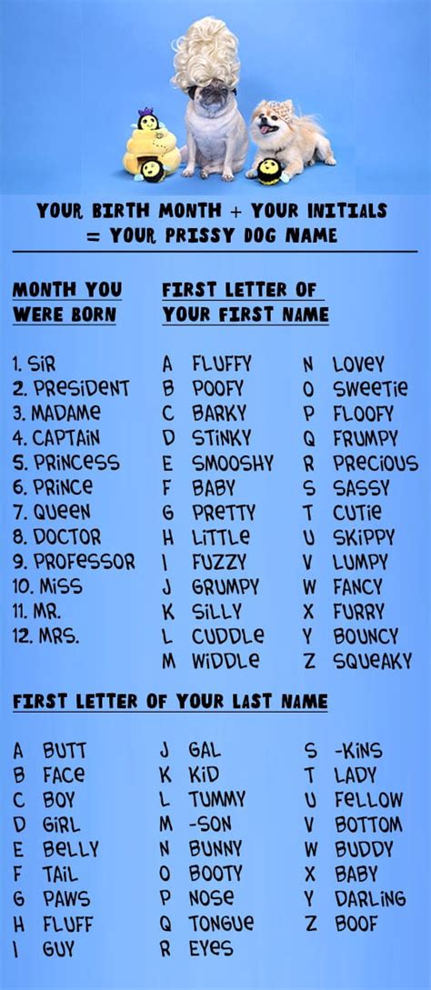 Looking for a marvelous name for your cat? What's Your Dog Identity? - BarkPost