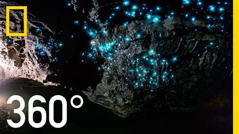Waitomo Glowworm Caves New Zealand Hd