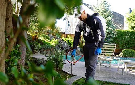 Tampa home pest control company green solutions lawn care & pest control is the #1 trusted indoor pest control service in tampa, florida. San Francisco Bay Area Pest Control For Homes & Businesses