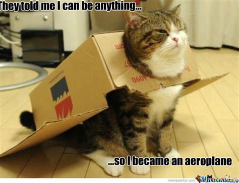 Flying Cat By Kima95 Meme Center