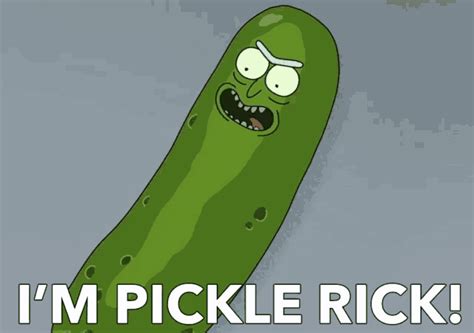 Pickle Rick Is The Rick And Morty Meme Youre About To Be Obsessed