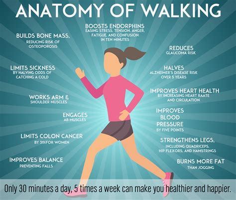 Health Benefits Of Walking Unexpected Benefits Of Walking Losing Zohal