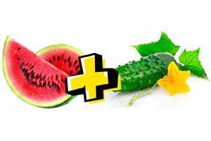 Диета арбузно дынная что будет если питаться только арбузом - Что значит факт...??? что будет если питаться только арбузом - Что значит факт...??? Диета арбузно дынная