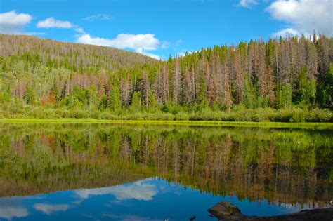 Free Images Landscape Tree Water Outdoor Wilderness Sky