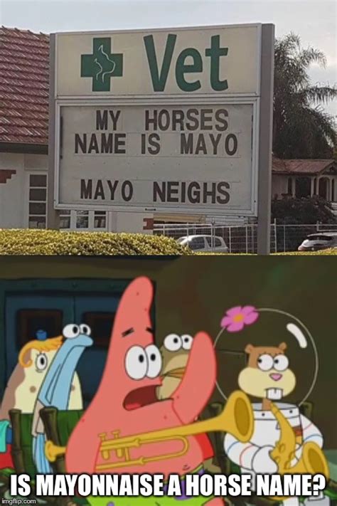 Is Mayonnaise A Horse Imgflip