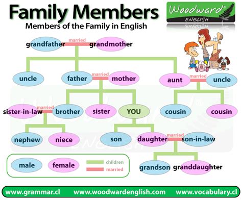 Los Miembros De La Familia En Inglés Aprendo Inglés