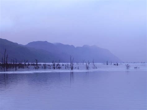 Rainy Dusk At Lake Macintosh Tullah By Gaylene Norton Redbubble