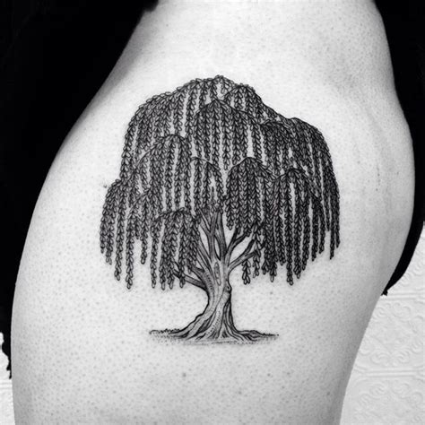 Weeping Willow Tree Tattoos Designs
