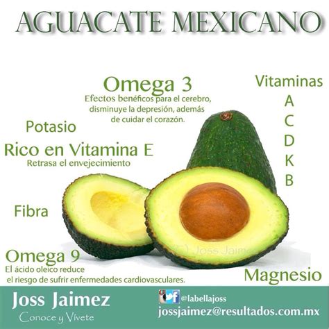 Propiedades Del Aguacate Infografia Avocado Health Benefits Medicinal