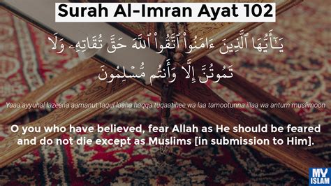 Surah Al Imran Ayat 102 3102 Quran With Tafsir My Islam