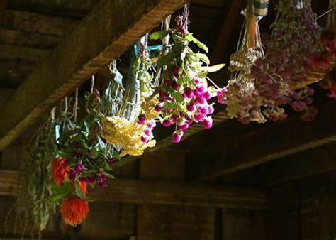 Price and stock could change after publish date, and. 8 Ways to Preserve Roses and Other Types of Flowers ...