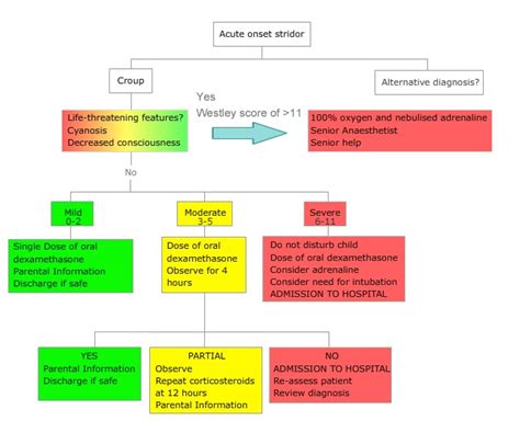 Assessment Of A Child Presenting With Croup Rcemlearning Netherlands