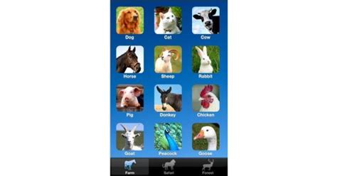 Zoola Animals App Review Common Sense Media