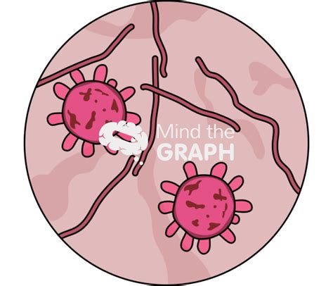 Histoplasma Capsulatum Zoom Mind The Graph