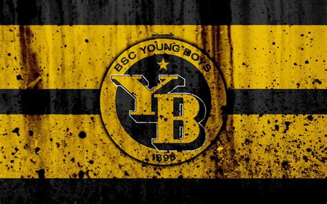 Bsc Young Boys Wallpapers Wallpaper Cave