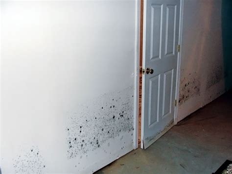 It's easier to frame this way if your working by yourself! Basement Wall Restoration In Owensboro, Evansville ...