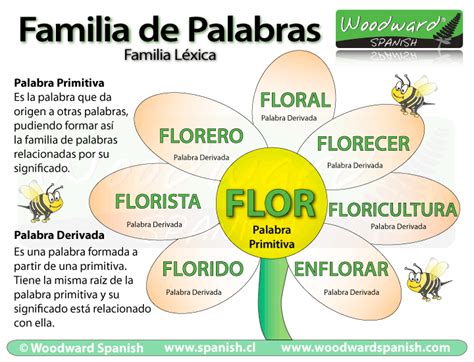 Familia De Palabras En Español Con Ejemplos