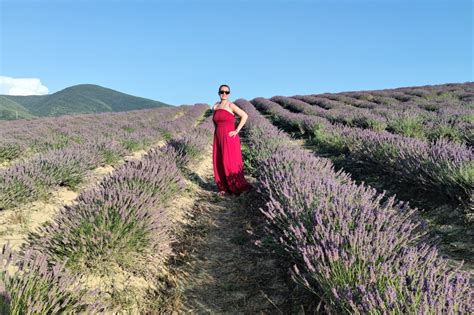 Il Festival Della Lavanda E I Borghi Delle Terre Di Pisa