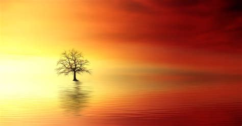 Sunrise Water Reflection Nature Screensaver Animated Wallpapers