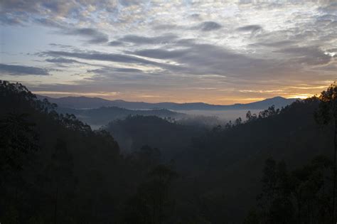 Free Download Hd Wallpaper Rwanda Sunrise Mist Mountains Forest