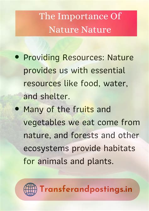 Paragraph On Nature For Kids The Wonders Of Nature A Guide For Kids