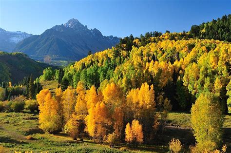 Peak Fall Foliage Usually Arrives In Colorado Between Mid September And